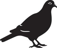 Pigeon Silhouette Illustration White Background vector