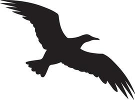 albatros silueta ilustración blanco antecedentes vector