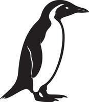 Penguin Silhouette Illustration White Background vector