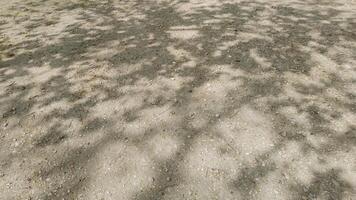 Abstract nature background of dappled sunlight casting intricate shadows on a dirt ground, evoking Earth Day and environmental conservation themes photo