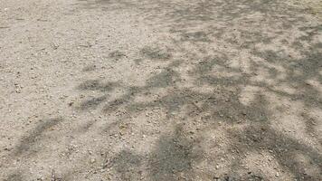 Dappled sunlight casting leafy tree shadows on a gravel surface, conveying a tranquil summer day or a nature inspired Earth Day concept photo