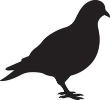 Pigeon Silhouette Illustration White Background vector