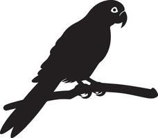 Parrot Silhouette Illustration White Background vector
