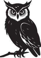 Owl Silhouette Illustration White Background vector