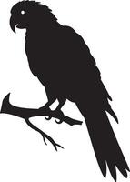 Parrot Silhouette Illustration White Background vector