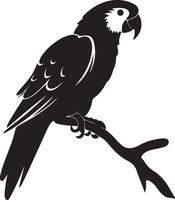 Parrot Silhouette Illustration White Background vector