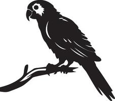 Parrot Silhouette Illustration White Background vector