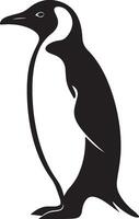 Penguin Silhouette Illustration White Background vector