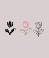 Tulip flower illustration vector