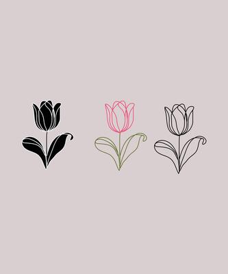 Tulip flower illustration