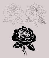 Rose line art illustration vector