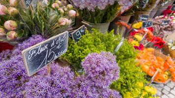 vistoso flor mercado monitor con precios en euro, presentando vibrante púrpura alliums, ideal para madres día y primavera jardinería temas en Europa foto