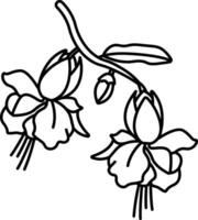 Fuchsia flower outline illustration vector