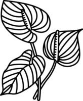Anthurium flower outline illustration vector