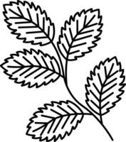 Mint leaf outline illustration vector