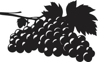 grape with leaves image vector