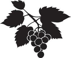 grape with leaves image vector