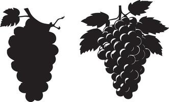 grape with leaves image vector