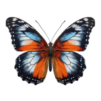mariposa aislado en contra transparente antecedentes png
