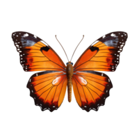 papillon isolé contre transparent Contexte png