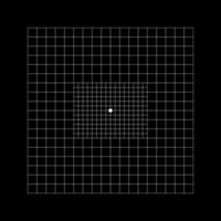 Amsler grid type with central squares divided into 0,5 degree squares. Graphic test to detecting vision defects. Ophthalmologic diagnostic tool. vector