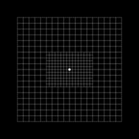 Amsler grid type with central squares divided into 0,5 degree squares. Graphic test to detecting vision defects. Ophthalmologic diagnostic tool. vector