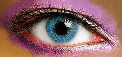 Close up image of healthy human eyes with eyelashes photo