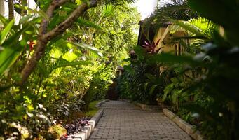 hermosa verde tropical jardín al aire libre veranda con ecológico plantas rodeado naturaleza en Asia foto