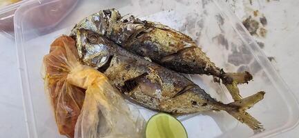 Fried Mackerel served with separate chili sauce and lime, or called Ikan kembung goreng. ikan banyar goreng with rica sambal photo