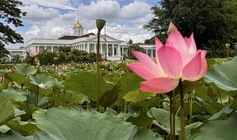 Bogor, West Java, Indonesia, 21 April 2024, Bogor presidential palace, also known as the Istana Bogor photo