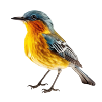 Bird against transparent background png