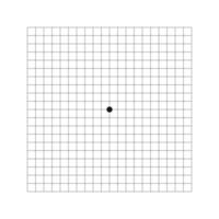 Amsler grid basic version with dot in center. Template of graphic test to monitoring central visual field and detecting vision defects. Ophthalmologic diagnostic tool vector