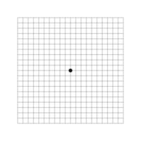 Amsler grid basic version with dot in center. Template of graphic test to monitoring central visual field and detecting vision defects. Ophthalmologic diagnostic tool vector