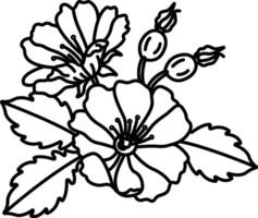 Wild Rose flower outline illustration vector