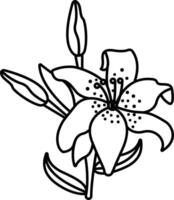 tiger lily flower outline illustration vector
