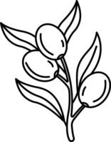 Olives outline illustration vector