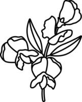flower outline illustration vector
