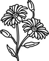 Daisy flower outline illustration vector