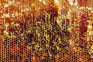 Drop of bee honey drip from hexagonal honeycombs filled with golden nectar photo