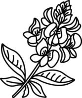 Bluebonnet flower outline illustration vector