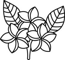 Frangipani flower outline illustration vector