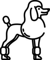 French poodle outline illustration vector