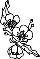 buttercup flower outline illustration vector