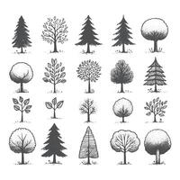 Clásico mano dibujado árbol colección vector