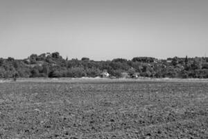 fotografía sobre el tema gran campo agrícola vacío para la cosecha orgánica foto