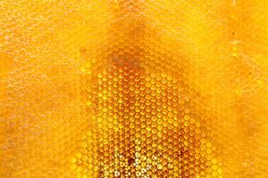 gota de goteo de miel de abeja de panales hexagonales llenos de néctar dorado foto