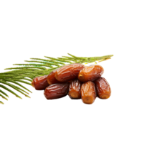 generated ai Fresh dates isolated on transparent background png