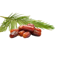 generated ai Fresh dates isolated on transparent background png