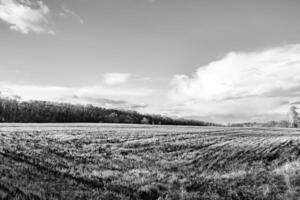 Photography on theme big empty farm field for organic harvest photo