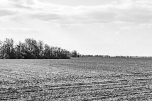 Photography on theme big empty farm field for organic harvest photo